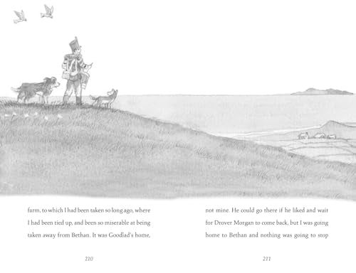 Cobweb: A heart-warming new story of bravery, friendship, and an incredible journey, for children and adults everywhere from the bestselling author of WAR HORSE. - Retail Maharaj