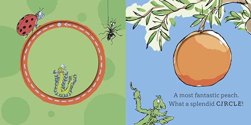 Roald Dahl: A Phizz-Whizzing Shapes Finger Trail Book - Retail Maharaj