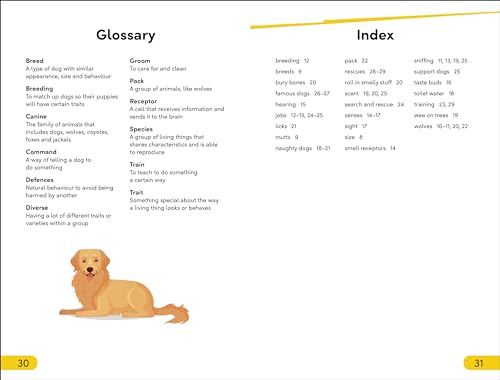 DK Super Readers Level 2 Dog Dude - Retail Maharaj