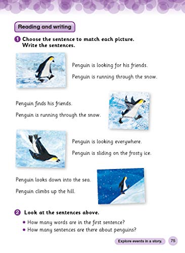 International Primary English Student's Book: Stage 1 (Collins International Primary English) - Retail Maharaj