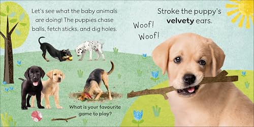 Touch and Feel Baby Animals: With Tactiles for Toddlers to Explore - Retail Maharaj