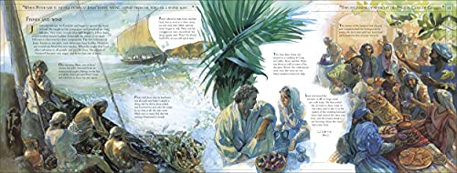 The Life of Jesus (DK Bibles and Bible Guides) - Retail Maharaj