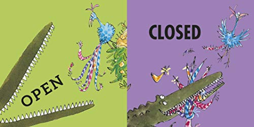 Roald Dahl’s Opposites: (Lift-the-Flap) - Retail Maharaj