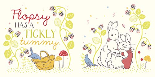 Peter Rabbit: Hello Flopsy! (Peter Rabbit Baby Books) - Retail Maharaj