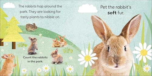 Touch and Feel Baby Animals: With Tactiles for Toddlers to Explore - Retail Maharaj