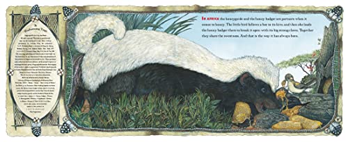 Honey... Honey... Lion!: A Story from Africa (Rise and Shine) - Retail Maharaj