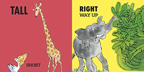 Roald Dahl’s Opposites: (Lift-the-Flap) - Retail Maharaj