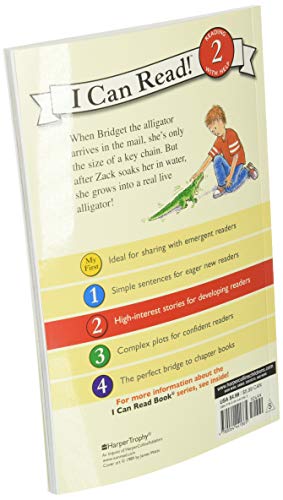 Zack's Alligator - Retail Maharaj