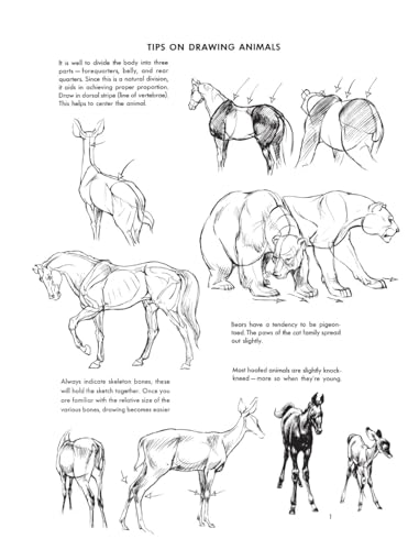 The Art of Animal Drawing: Construction, Action Analysis, Caricature