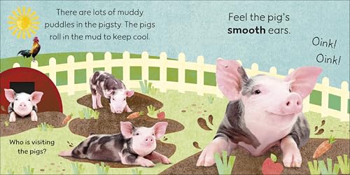 Touch and Feel Farm: With Tactiles for Toddlers to Explore - Retail Maharaj