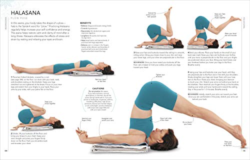 B.K.S. Iyengar Yoga The Path to Holistic Health: The Definitive Step-by-step Guide - Retail Maharaj