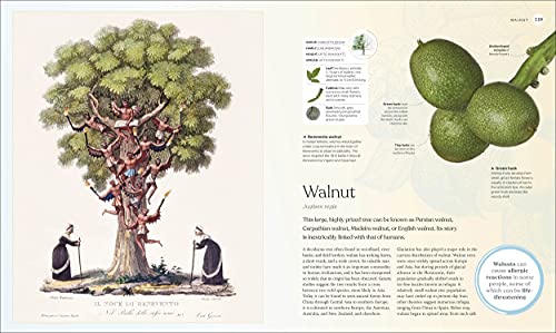 The Tree Book: The Stories, Science, and History of Trees - Retail Maharaj
