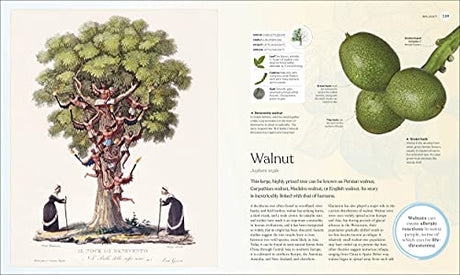 The Tree Book: The Stories, Science, and History of Trees - Retail Maharaj