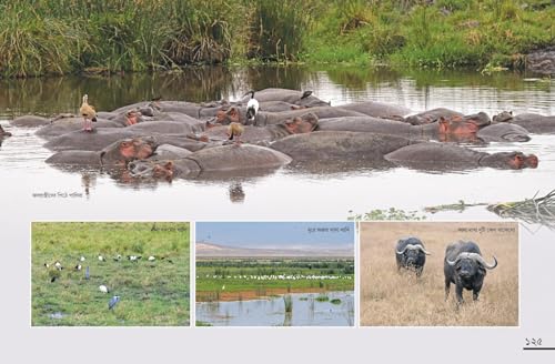 Ghure Elam Africa (Bengali Version) - Retail Maharaj