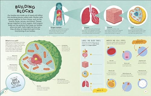 Brain Booster Human Body: Over 100 Mind-Boggling Activities that Make Learning Easy and Fun - Retail Maharaj