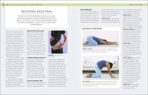 Your Pregnancy Week By Week - Retail Maharaj