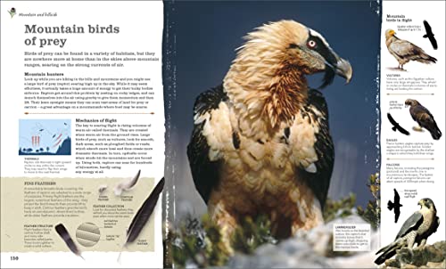 Chris Packham's Nature Handbook: Explore the Wonders of the Natural World - Retail Maharaj