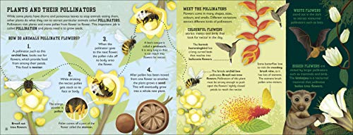 The Rainforest Book (Conservation for Kids) - Retail Maharaj