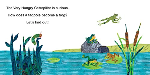 How Does a Tadpole Grow?: Life Cycles with The Very Hungry Caterpillar