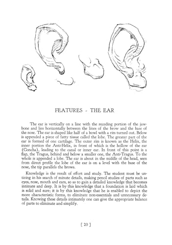 Heads, Features and Faces