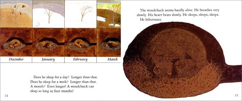 Animals In Winter - Retail Maharaj