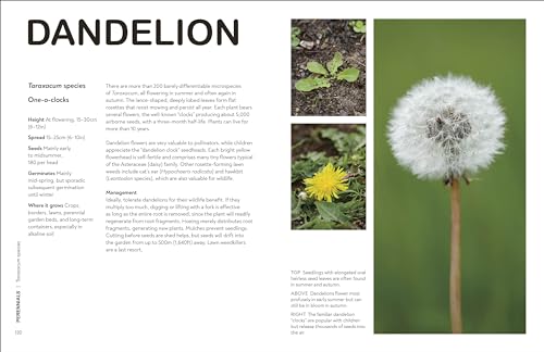 RHS What's That Weed?: Know Your Weeds and Learn to Live with Them - Retail Maharaj