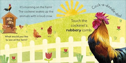 Touch and Feel Farm: With Tactiles for Toddlers to Explore - Retail Maharaj