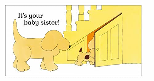 Spot's Baby Sister: A lift-the-flap board book for toddlers - Retail Maharaj