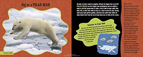 Big as a Giant Snail