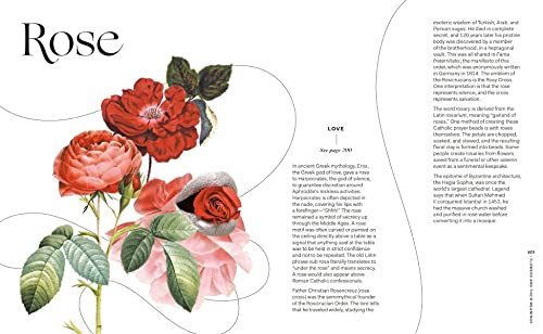 Flowers and Their Meanings: The Secret Language and History of Over 600 Blooms (A Flower Dictionary) - Retail Maharaj