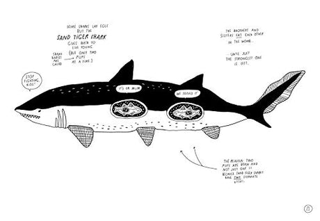 Baby Animals!: Amazing Adorable Facts - Retail Maharaj