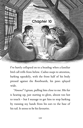 The Last Firefox - Retail Maharaj