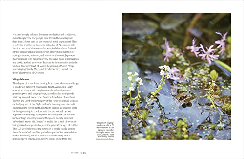 Garden for the Senses: How Your Garden Can Soothe Your Mind and Awaken Your Soul - Retail Maharaj