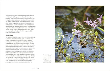 Garden for the Senses: How Your Garden Can Soothe Your Mind and Awaken Your Soul - Retail Maharaj