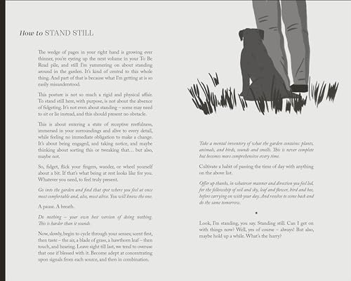 To Stand And Stare: How to Garden While Doing Next to Nothing - Retail Maharaj