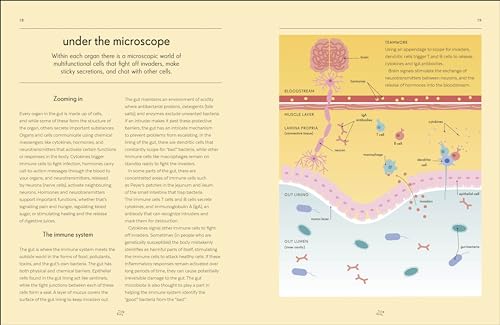Gut: An Owner's Guide - Retail Maharaj