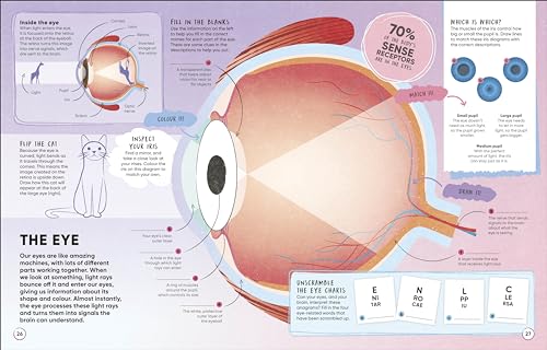 Brain Booster Human Body: Over 100 Mind-Boggling Activities that Make Learning Easy and Fun - Retail Maharaj