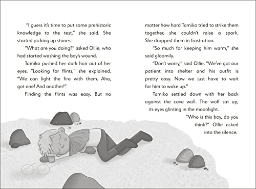 The Secret Explorers and the Ice Age Adventure - Retail Maharaj