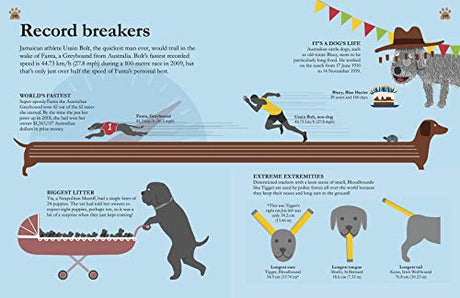 How Dogs Work: A Head-to-Tail Guide to Your Canine (DK Practical Pet Guides) - Retail Maharaj