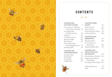 The Little Book of Bees: An illustrated guide to the extraordinary lives of bees - Retail Maharaj