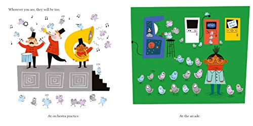 Don't Feed the Coos - Retail Maharaj