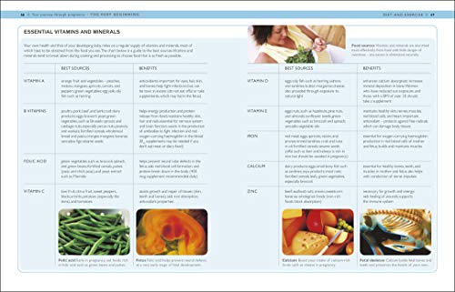 Your Pregnancy Week By Week - Retail Maharaj
