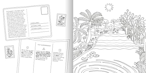Road Trip! Coloring Book: Color Your Way to National Parks, Landmarks, and Roadside Attractions: A Coloring Book - Retail Maharaj