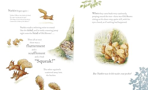 The Tale of Squirrel Nutkin Picture Book - Retail Maharaj