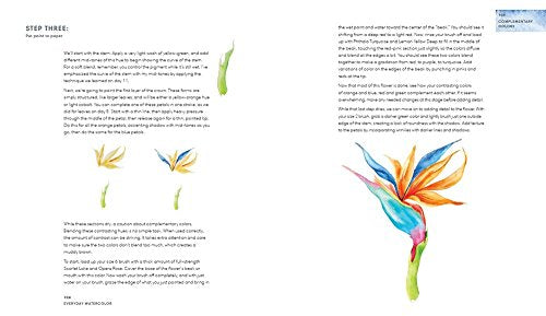 Everyday Watercolor - Retail Maharaj