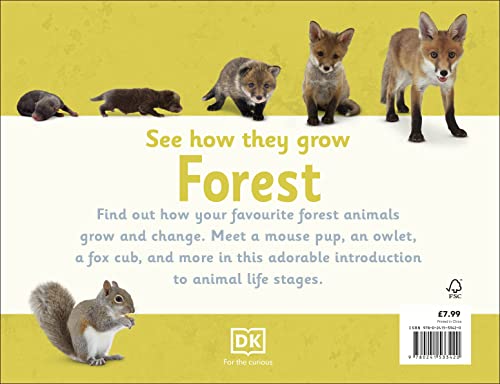 See How They Grow Forest - Retail Maharaj