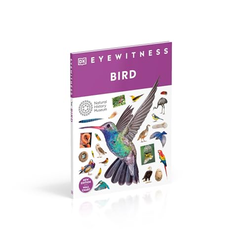 Bird (DK Eyewitness) - Retail Maharaj