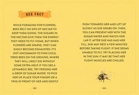 The Little Book of Bees: An illustrated guide to the extraordinary lives of bees - Retail Maharaj