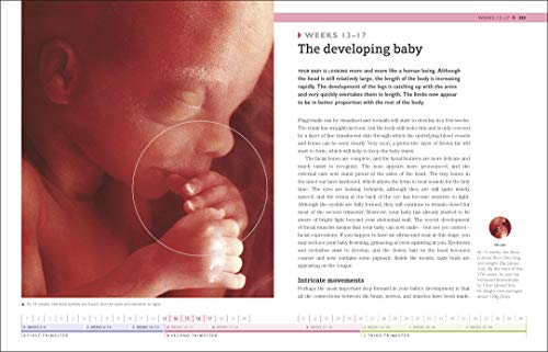 Your Pregnancy Week By Week - Retail Maharaj