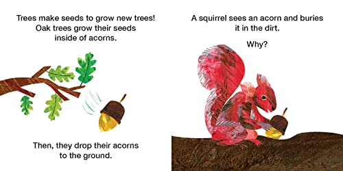 How Does a Seed Sprout?: Life Cycles with The Very Hungry Caterpillar